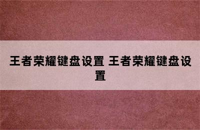 王者荣耀键盘设置 王者荣耀键盘设置